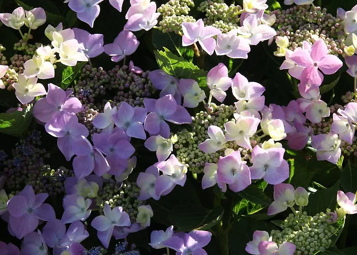 La Palomera * Berenx